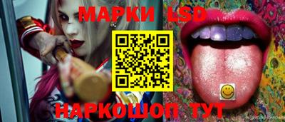 сатива Краснодар