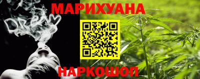 сатива Краснодар