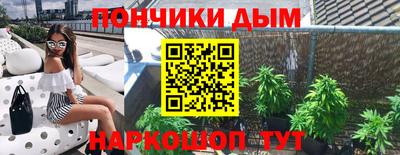 сатива Краснодар